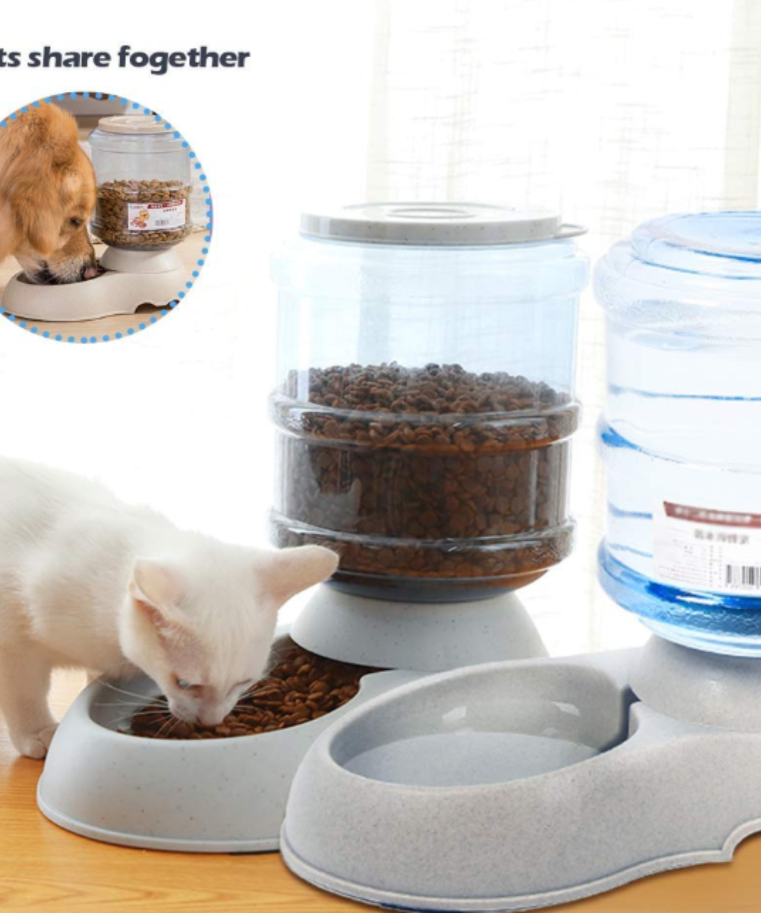 Automated Pet Feeders and Water Dispensers Pawsome Hub