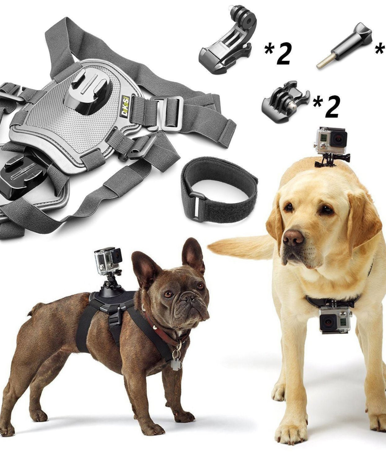 Pet Apparel and Accessories Pawsome Hub