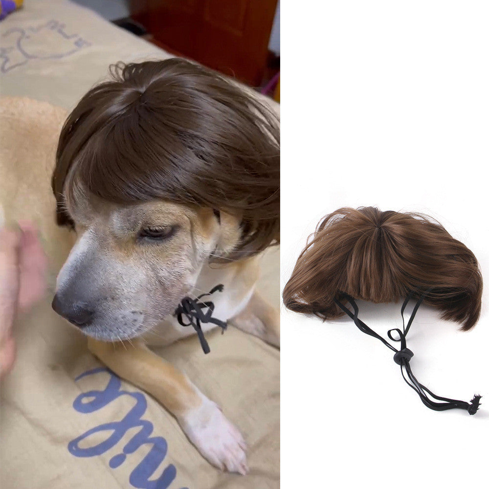 Halloween Christmas Wig Pet Hair Accessories Brown short hair Head circumference 30to60cm