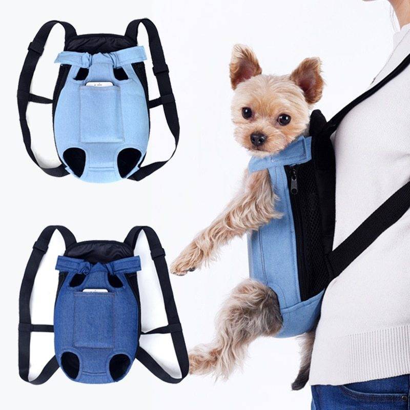 Pet out door strap