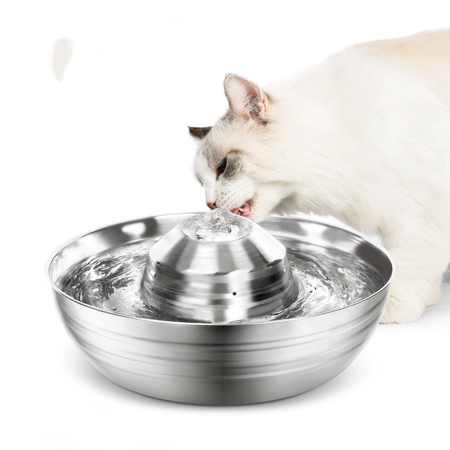 Stainless Steel Pet Water Dispenser